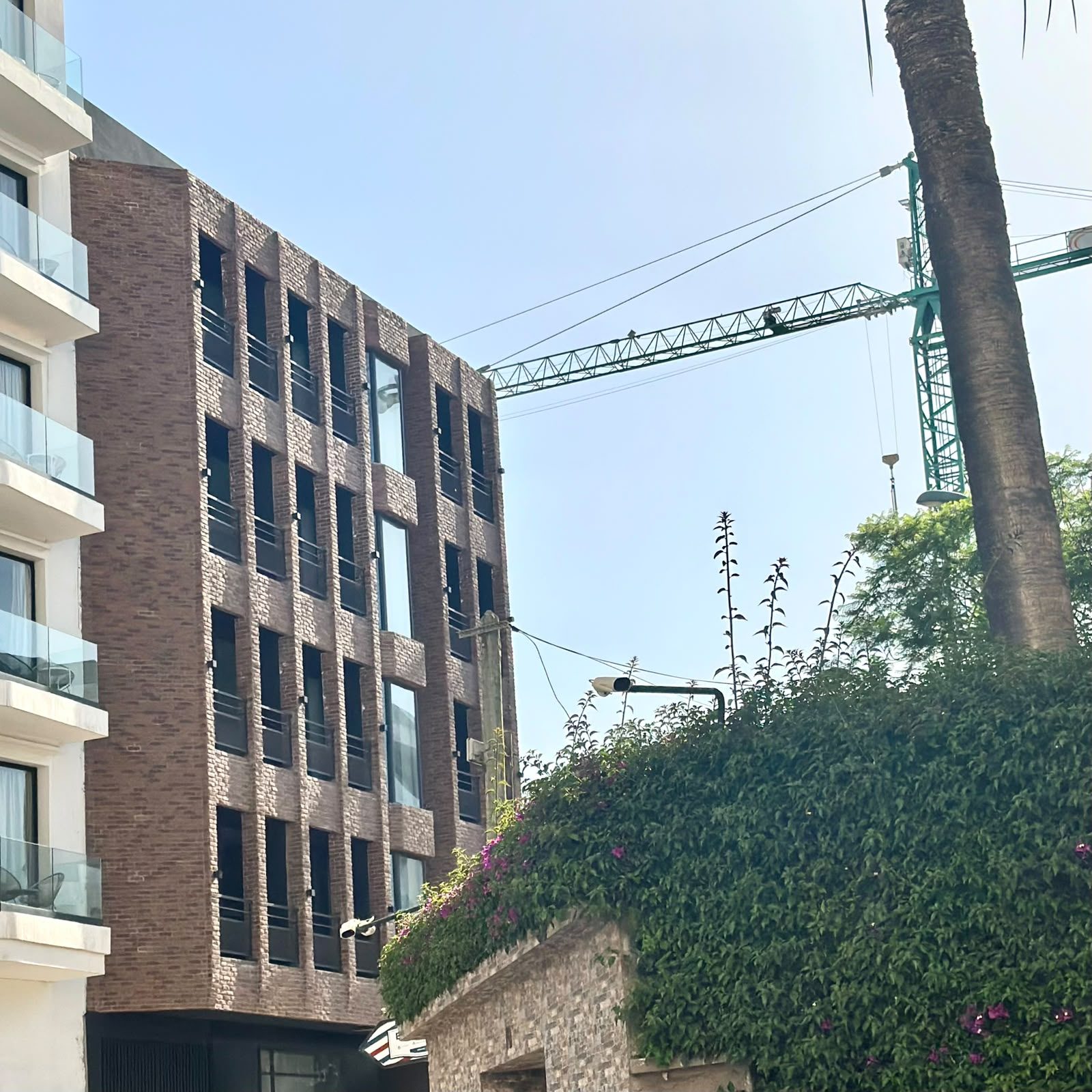 Bâtiment en brique entouré de palmiers — vue 2