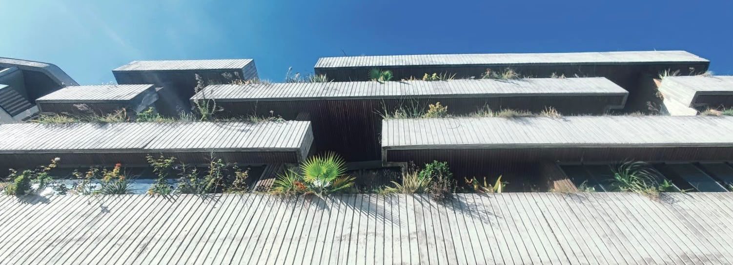 Immeuble à balcons plantés en béton — vue 2