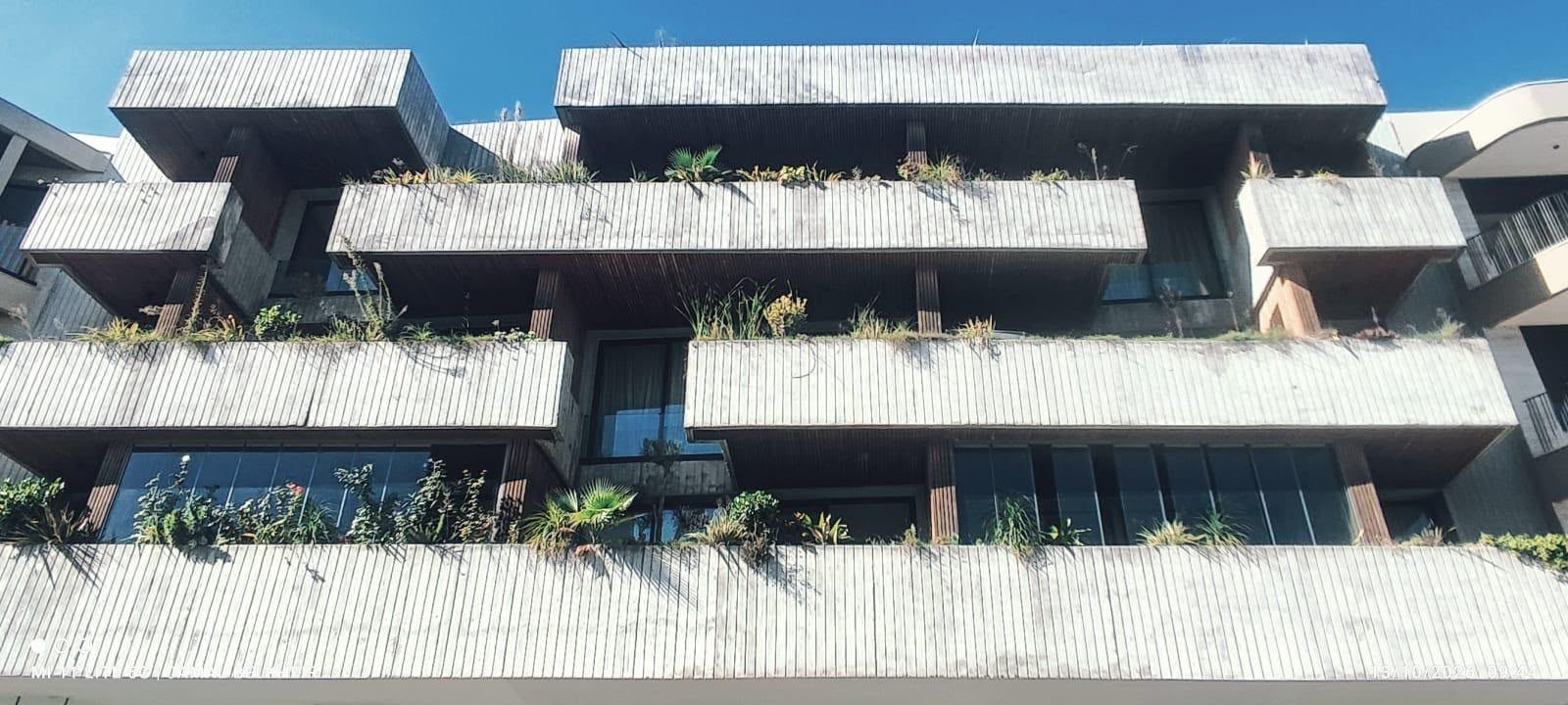Immeuble à balcons plantés en béton — vue 4